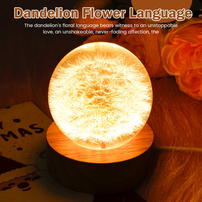 Dandelion Crystal Ball Night Lamp