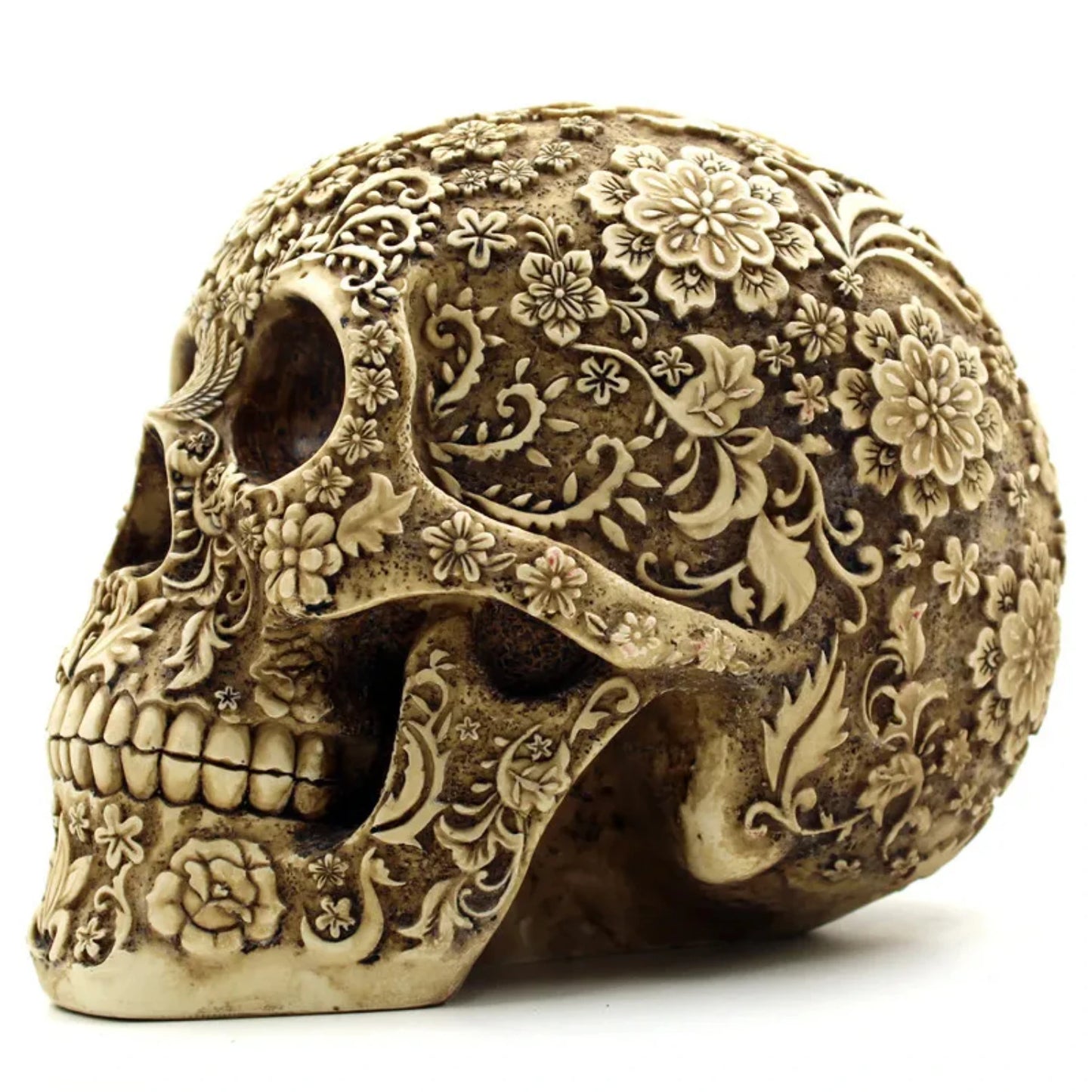 Skull  Sculptures