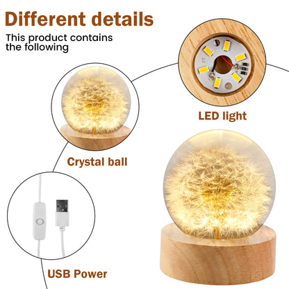 Dandelion Crystal Ball Night Lamp