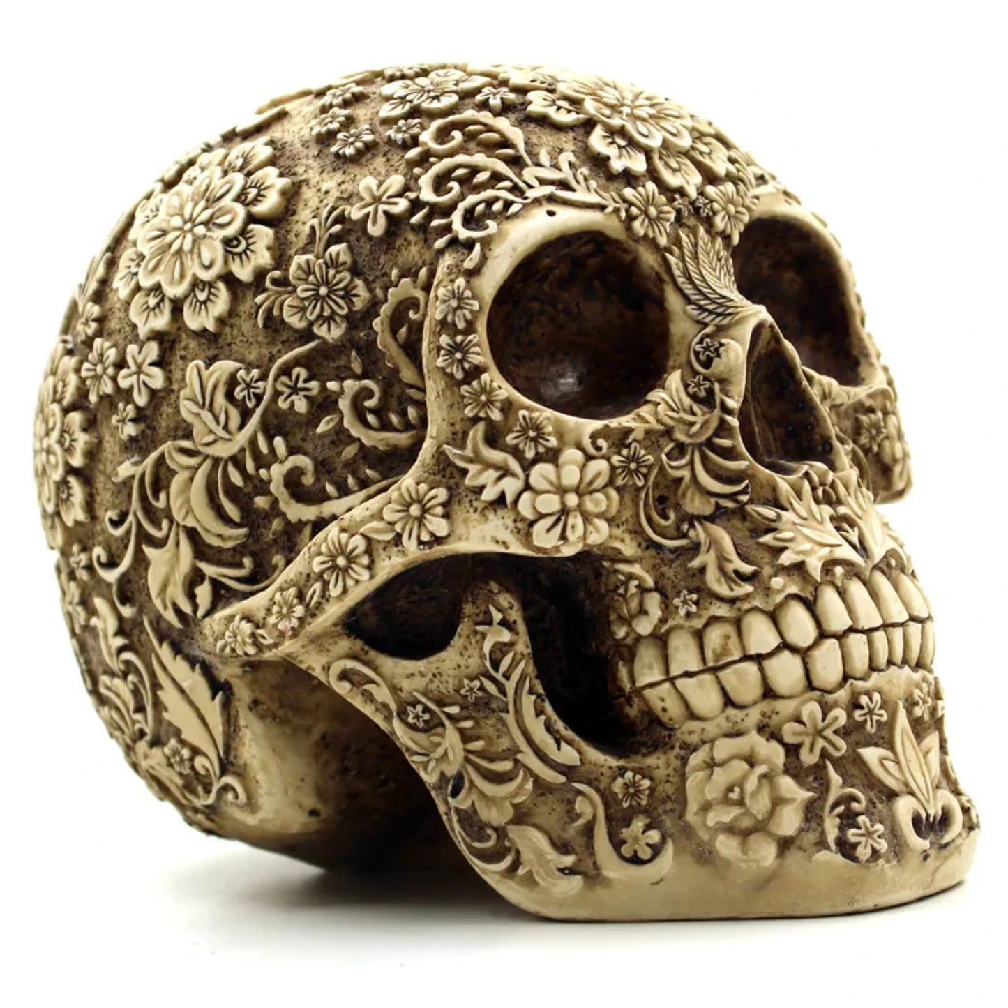 Skull  Sculptures